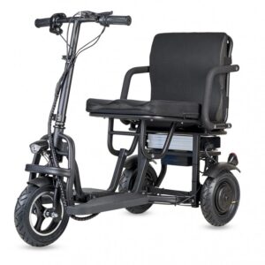 Triciclo eléctrico ECOXTREM T3